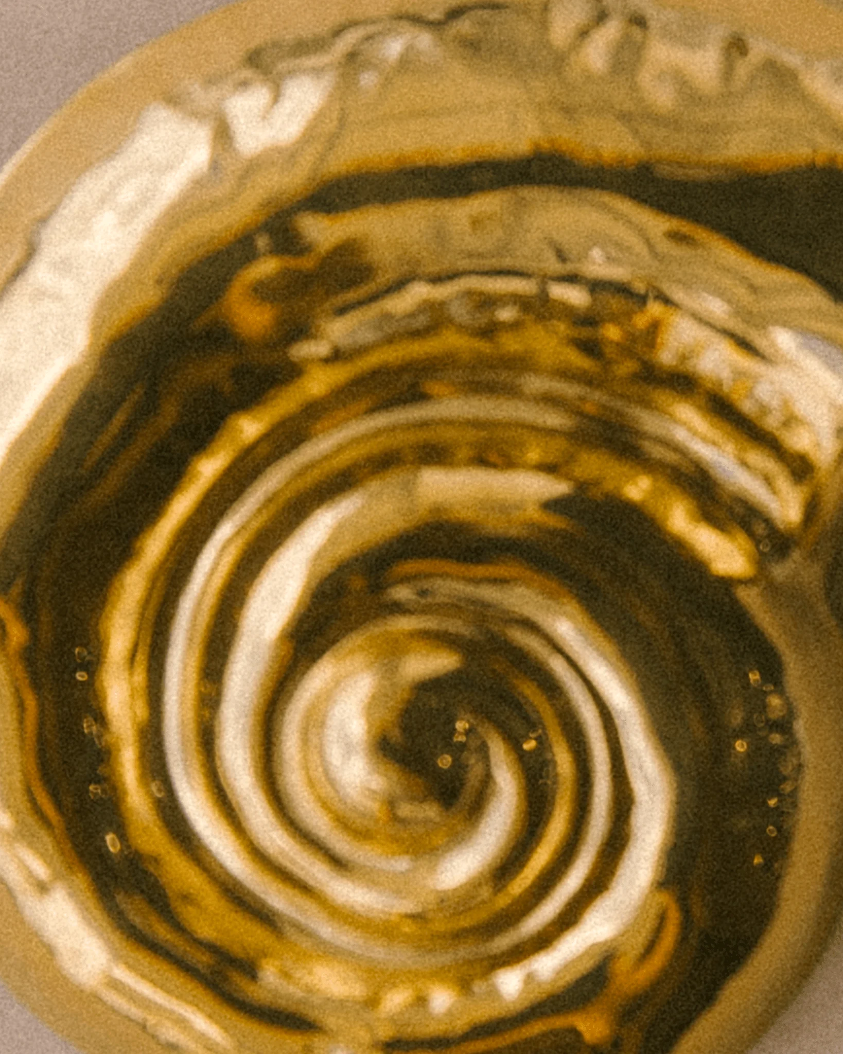 Golden Nautilus Brooch - Image 2